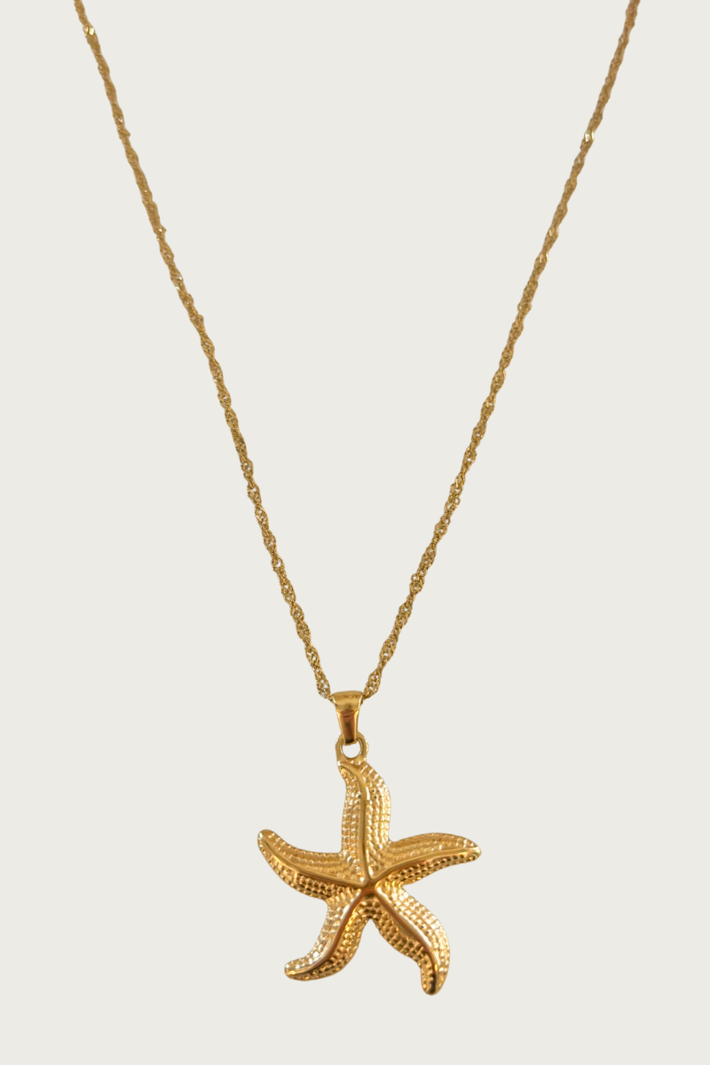 Goudkleurige zeester ketting van Fencyjewels – roestvrijstalen ketting met zeesterhanger, zomerse beachstyle en elegante gouden afwerking.