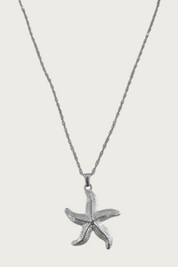 Zilverkleurige zeester ketting van Fencyjewels – roestvrijstalen ketting met zeesterhanger, zomerse beachstyle en elegante gouden afwerking.