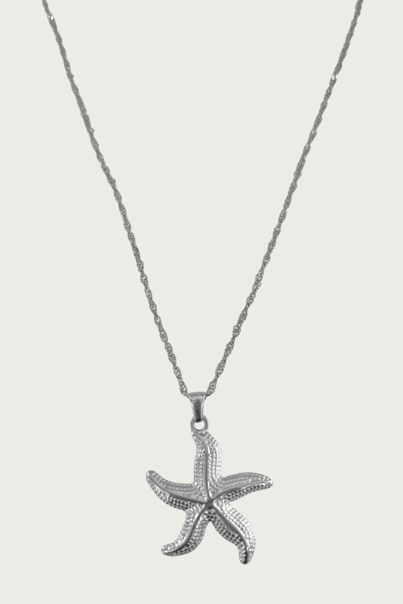 Zilverkleurige zeester ketting van Fencyjewels – roestvrijstalen ketting met zeesterhanger, zomerse beachstyle en elegante gouden afwerking.
