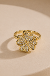Lucky ring draaibaar Fencyjewels